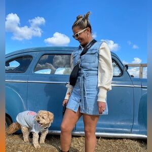 Zara Light Blue Denim dress